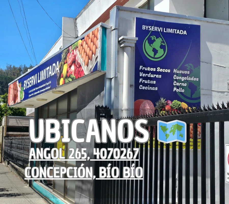 Local de BYSERVI LIMITADA